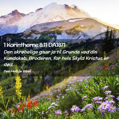 Picture 02 - 1 Korintherne 8:11 DA1871 - Den skrøbelige gaar jo til Grunde ved din - Bible Verse Picture