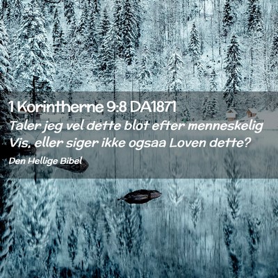 Picture 02 - 1 Korintherne 9:8 DA1871 - Taler jeg vel dette blot efter menneskelig Vis, - Bible Verse Picture