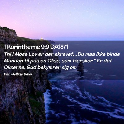 Picture 02 - 1 Korintherne 9:9 DA1871 - Thi i Mose Lov er der skrevet: „Du maa ikke - Bible Verse Picture