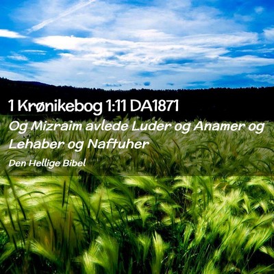Picture 02 - 1 Krønikebog 1:11 DA1871 - Og Mizraim avlede Luder og Anamer og Lehaber og - Bible Verse Picture