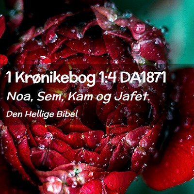 Picture 02 - 1 Krønikebog 1:4 DA1871 - Noa, Sem, Kam og - Bible Verse Picture