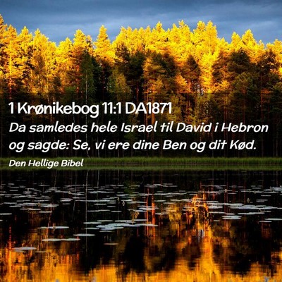 Picture 02 - 1 Krønikebog 11:1 DA1871 - Da samledes hele Israel til David i Hebron og - Bible Verse Picture