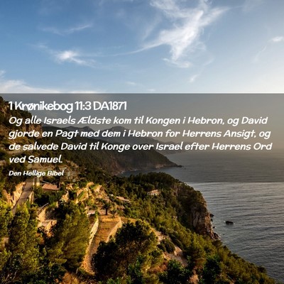 Picture 02 - 1 Krønikebog 11:3 DA1871 - Og alle Israels Ældste kom til Kongen i Hebron, - Bible Verse Picture