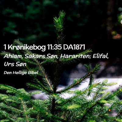 Picture 02 - 1 Krønikebog 11:35 DA1871 - Ahiam, Sakars Søn, Harariten; Elifal, Urs - Bible Verse Picture