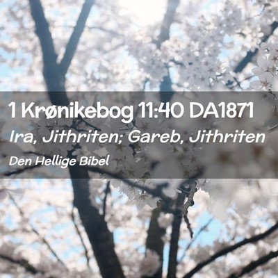 Picture 02 - 1 Krønikebog 11:40 DA1871 - Ira, Jithriten; Gareb, - Bible Verse Picture