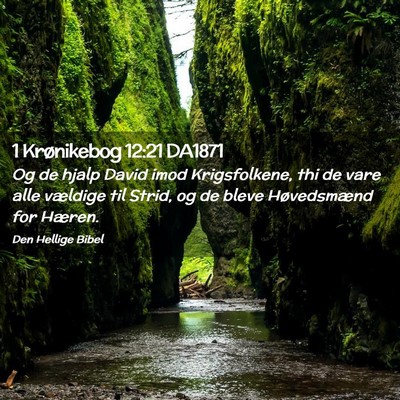 Picture 02 - 1 Krønikebog 12:21 DA1871 - Og de hjalp David imod Krigsfolkene, thi de vare - Bible Verse Picture
