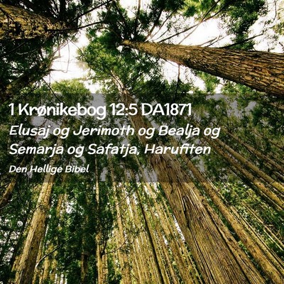 Picture 02 - 1 Krønikebog 12:5 DA1871 - Elusaj og Jerimoth og Bealja og Semarja og - Bible Verse Picture