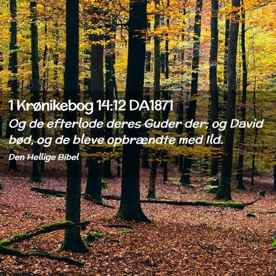 Picture 02 - 1 Krønikebog 14:12 DA1871 - Og de efterlode deres Guder der; og David bød, - Bible Verse Picture