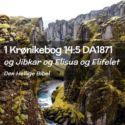 Picture 02 - 1 Krønikebog 14:5 DA1871 - og Jibkar og Elisua og - Bible Verse Picture
