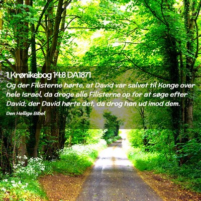 Picture 02 - 1 Krønikebog 14:8 DA1871 - Og der Filisterne hørte, at David var salvet til - Bible Verse Picture