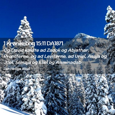 Picture 02 - 1 Krønikebog 15:11 DA1871 - Og David kaldte ad Zadok og Abjathar, Præsterne, - Bible Verse Picture