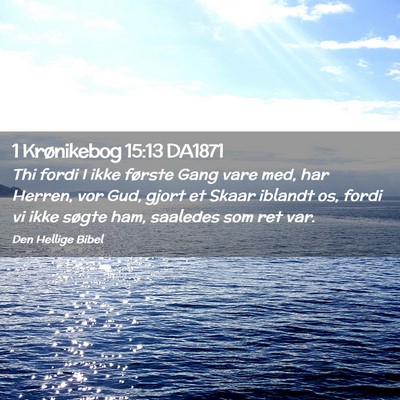 Picture 02 - 1 Krønikebog 15:13 DA1871 - Thi fordi I ikke første Gang vare med, har - Bible Verse Picture