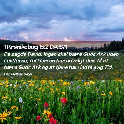 Picture 02 - 1 Krønikebog 15:2 DA1871 - Da sagde David: Ingen skal bære Guds Ark uden - Bible Verse Picture