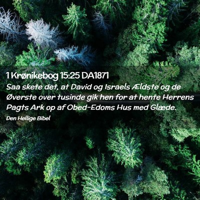 Picture 02 - 1 Krønikebog 15:25 DA1871 - Saa skete det, at David og Israels Ældste og de - Bible Verse Picture
