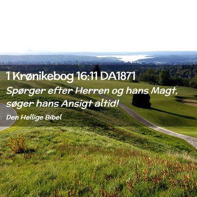 Picture 02 - 1 Krønikebog 16:11 DA1871 - Spørger efter Herren og hans Magt, søger hans - Bible Verse Picture