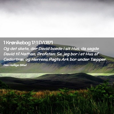 Picture 02 - 1 Krønikebog 17:1 DA1871 - Og det skete, der David boede i sit Hus, da sagde - Bible Verse Picture
