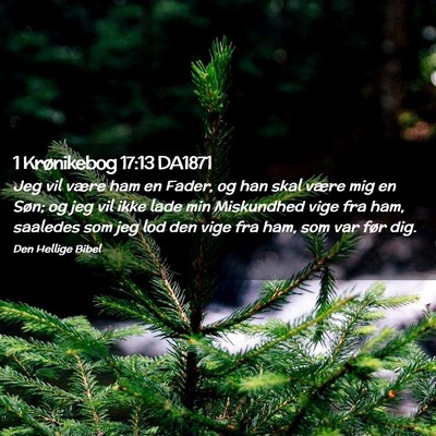 Picture 02 - 1 Krønikebog 17:13 DA1871 - Jeg vil være ham en Fader, og han skal være mig - Bible Verse Picture