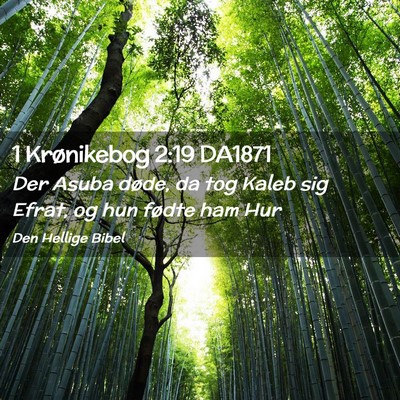 Picture 02 - 1 Krønikebog 2:19 DA1871 - Der Asuba døde, da tog Kaleb sig Efrat, og hun - Bible Verse Picture