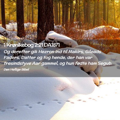 Picture 02 - 1 Krønikebog 2:21 DA1871 - Og derefter gik Hezron ind til Makirs, Gileads - Bible Verse Picture