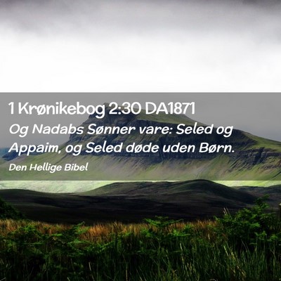 Picture 02 - 1 Krønikebog 2:30 DA1871 - Og Nadabs Sønner vare: Seled og Appaim, og Seled - Bible Verse Picture