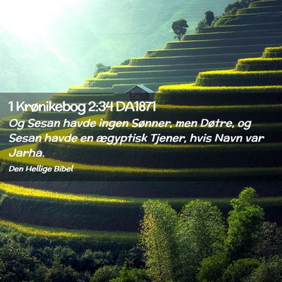 Picture 02 - 1 Krønikebog 2:34 DA1871 - Og Sesan havde ingen Sønner, men Døtre, og - Bible Verse Picture
