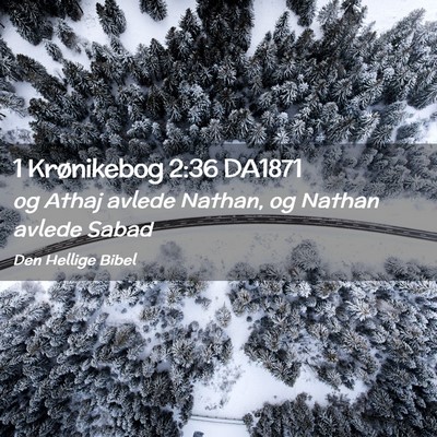 Picture 02 - 1 Krønikebog 2:36 DA1871 - og Athaj avlede Nathan, og Nathan avlede - Bible Verse Picture