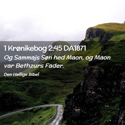 Picture 02 - 1 Krønikebog 2:45 DA1871 - Og Sammajs Søn hed Maon, og Maon var Bethzurs - Bible Verse Picture