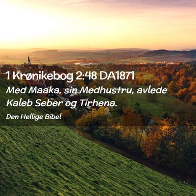 Picture 02 - 1 Krønikebog 2:48 DA1871 - Med Maaka, sin Medhustru, avlede Kaleb Seber og - Bible Verse Picture