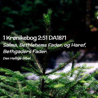 Picture 02 - 1 Krønikebog 2:51 DA1871 - Salma, Bethlehems Fader, og Haref, Bethgaders - Bible Verse Picture