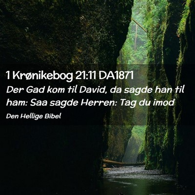 Picture 02 - 1 Krønikebog 21:11 DA1871 - Der Gad kom til David, da sagde han til ham: Saa - Bible Verse Picture