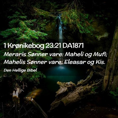 Picture 02 - 1 Krønikebog 23:21 DA1871 - Meraris Sønner vare: Maheli og Mufi; Mahelis - Bible Verse Picture