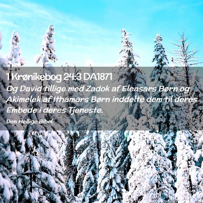 Picture 02 - 1 Krønikebog 24:3 DA1871 - Og David tillige med Zadok af Eleasars Børn og - Bible Verse Picture