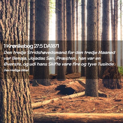 Picture 02 - 1 Krønikebog 27:5 DA1871 - Den tredje Stridshøvedsmand for den tredje - Bible Verse Picture