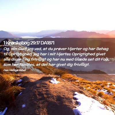 Picture 02 - 1 Krønikebog 29:17 DA1871 - Og, min Gud! jeg ved, at du prøver Hjerter og - Bible Verse Picture