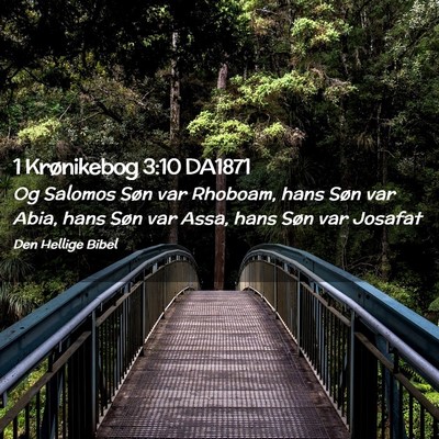 Picture 02 - 1 Krønikebog 3:10 DA1871 - Og Salomos Søn var Rhoboam, hans Søn var Abia, - Bible Verse Picture
