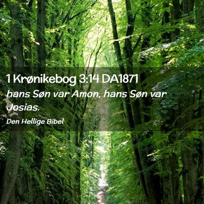 Picture 02 - 1 Krønikebog 3:14 DA1871 - hans Søn var Amon, hans Søn var - Bible Verse Picture
