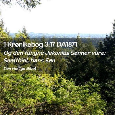 Picture 02 - 1 Krønikebog 3:17 DA1871 - Og den fangne Jekonias Sønner vare: Sealthiel, - Bible Verse Picture