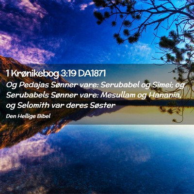 Picture 02 - 1 Krønikebog 3:19 DA1871 - Og Pedajas Sønner vare: Serubabel og Simei; og - Bible Verse Picture