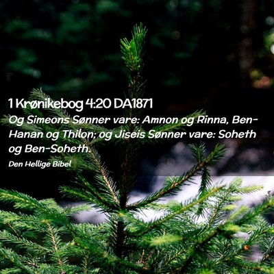 Picture 02 - 1 Krønikebog 4:20 DA1871 - Og Simeons Sønner vare: Amnon og Rinna, - Bible Verse Picture