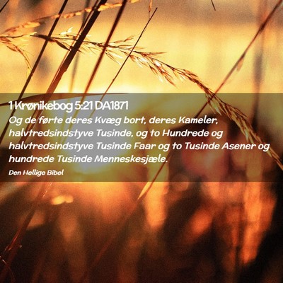 Picture 02 - 1 Krønikebog 5:21 DA1871 - Og de førte deres Kvæg bort, deres Kameler, - Bible Verse Picture