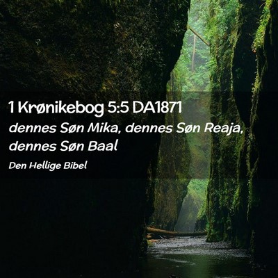 Picture 02 - 1 Krønikebog 5:5 DA1871 - dennes Søn Mika, dennes Søn Reaja, dennes Søn - Bible Verse Picture