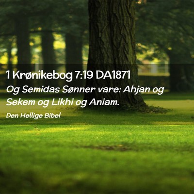 Picture 02 - 1 Krønikebog 7:19 DA1871 - Og Semidas Sønner vare: Ahjan og Sekem og Likhi - Bible Verse Picture