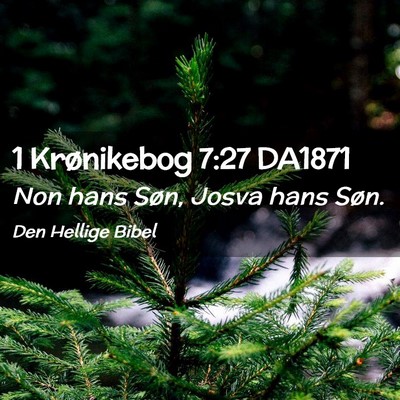 Picture 02 - 1 Krønikebog 7:27 DA1871 - Non hans Søn, Josva hans - Bible Verse Picture