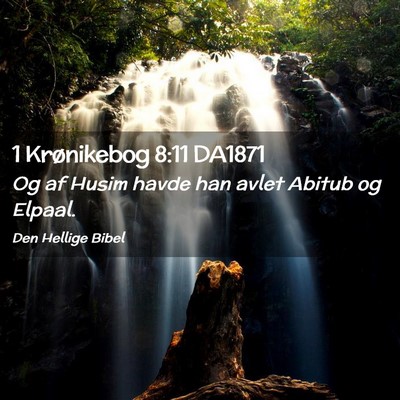 Picture 02 - 1 Krønikebog 8:11 DA1871 - Og af Husim havde han avlet Abitub og - Bible Verse Picture