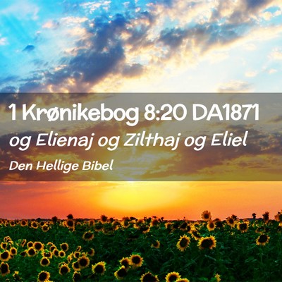 Picture 02 - 1 Krønikebog 8:20 DA1871 - og Elienaj og Zilthaj og - Bible Verse Picture