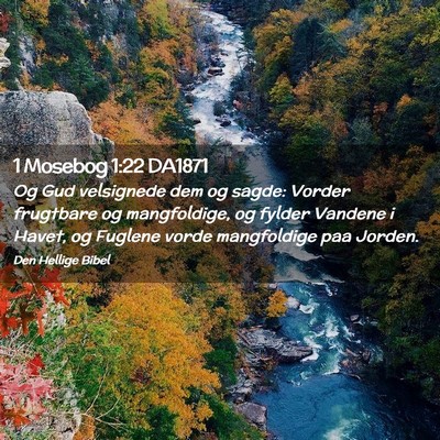 Picture 02 - 1 Mosebog 1:22 DA1871 - Og Gud velsignede dem og sagde: Vorder frugtbare - Bible Verse Picture