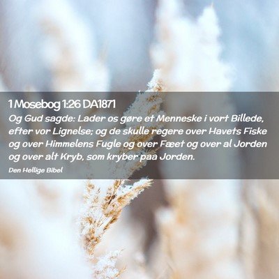 Picture 02 - 1 Mosebog 1:26 DA1871 - Og Gud sagde: Lader os gøre et Menneske i vort - Bible Verse Picture