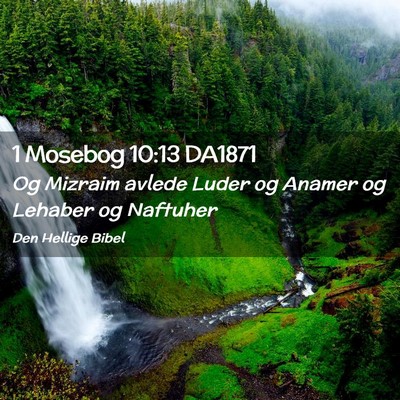 Picture 02 - 1 Mosebog 10:13 DA1871 - Og Mizraim avlede Luder og Anamer og Lehaber og - Bible Verse Picture