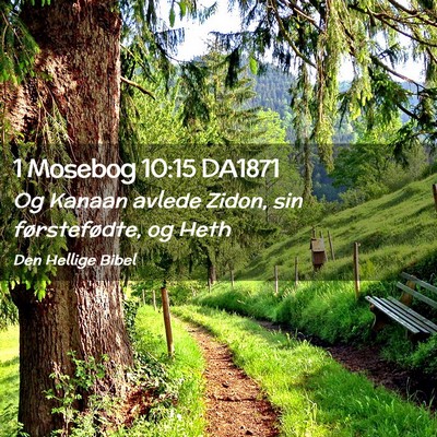 Picture 02 - 1 Mosebog 10:15 DA1871 - Og Kanaan avlede Zidon, sin førstefødte, og - Bible Verse Picture