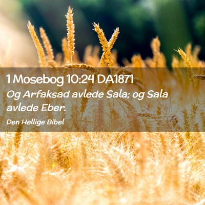 Picture 02 - 1 Mosebog 10:24 DA1871 - Og Arfaksad avlede Sala; og Sala avlede - Bible Verse Picture